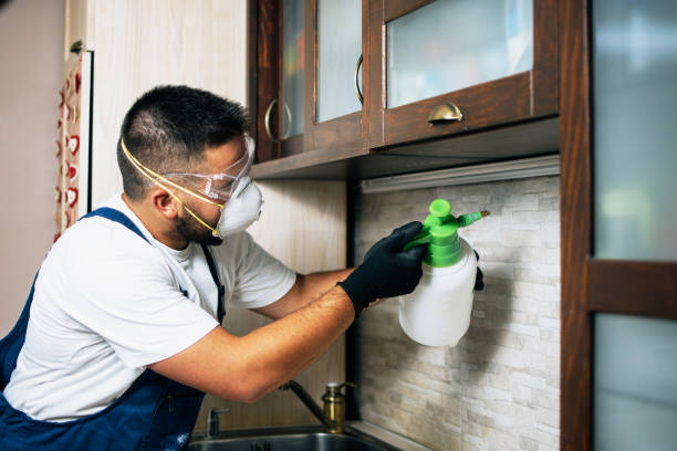 Best Pest Removal Services  in Fayetteville, AR