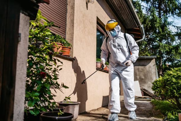 Best Rodent Control Near Me  in Fayetteville, AR