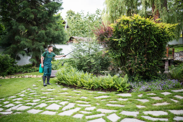 Best Affordable Pest Control Services  in Fayetteville, AR