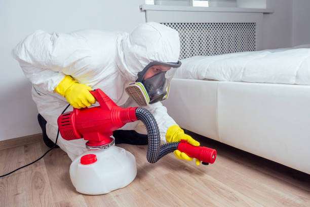 Best Bed Bug Extermination  in Fayetteville, AR