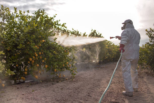 Best Emergency Pest Control  in Fayetteville, AR