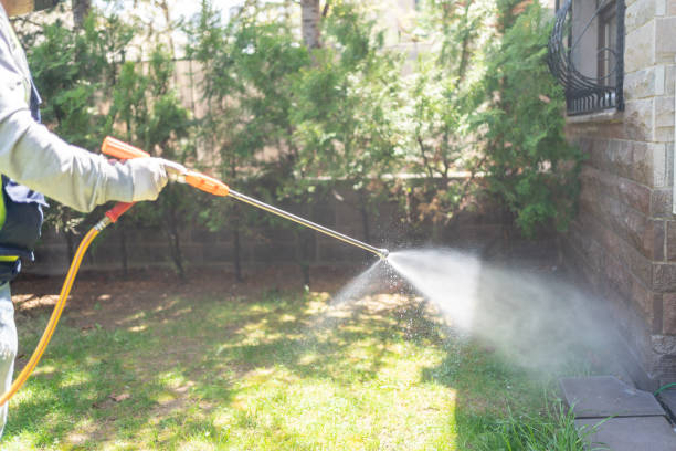 Best Pest Control for Homes  in Fayetteville, AR