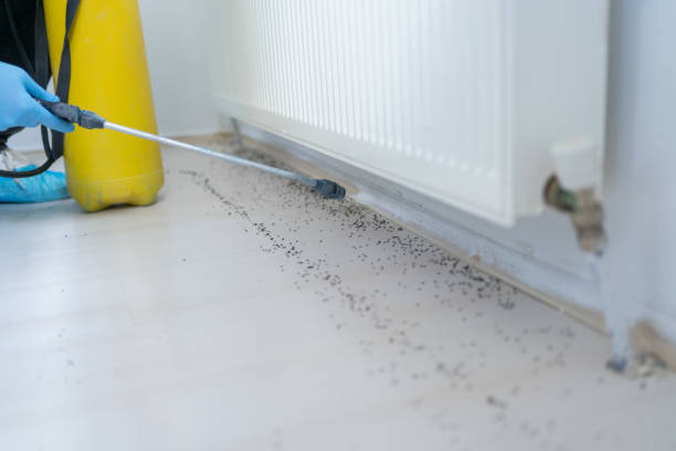 Best Residential Pest Control  in Fayetteville, AR